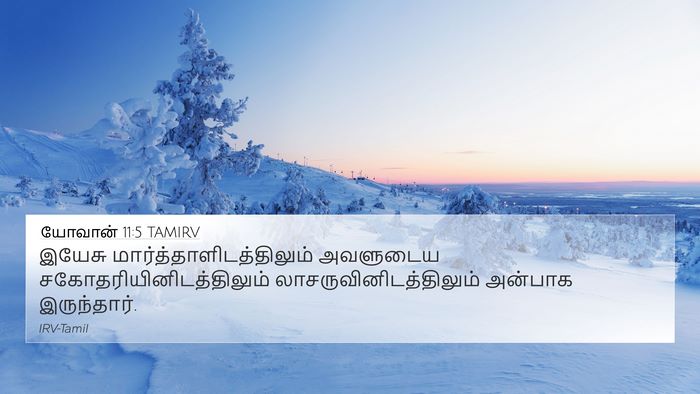 யோவான் 11:5 TAMIRV Bible Verse Image