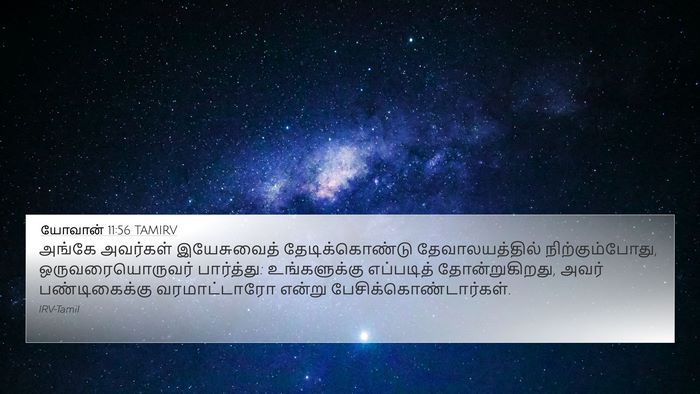 யோவான் 11:56 TAMIRV 4K Wallpaper - அங்கே அவர்கள் - 4K Wallpaper Bible Verse