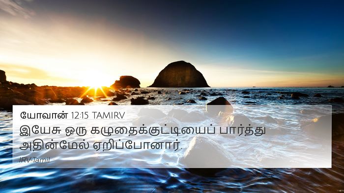 யோவான் 12:15 TAMIRV Bible Verse Image