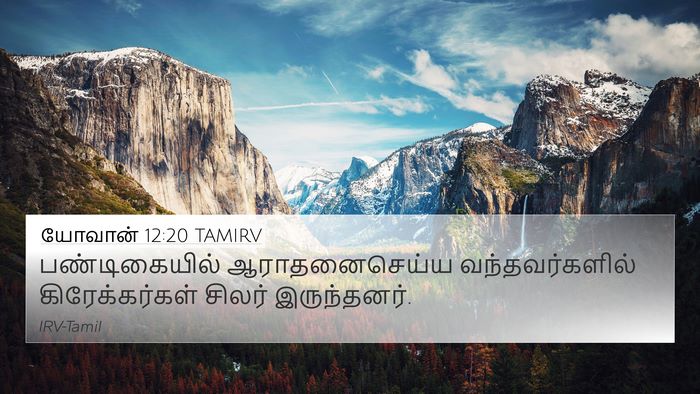 யோவான் 12:20 TAMIRV Bible Verse Image