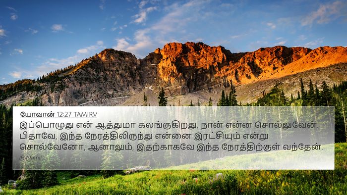 யோவான் 12:27 TAMIRV Bible Verse Image