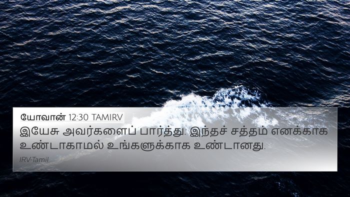 யோவான் 12:30 TAMIRV Bible Verse Image