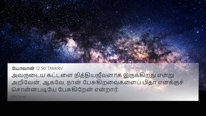 யோவான் 12:50 TAMIRV Bible Verse Image