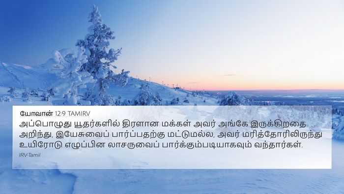 யோவான் 12:9 TAMIRV Bible Verse Image