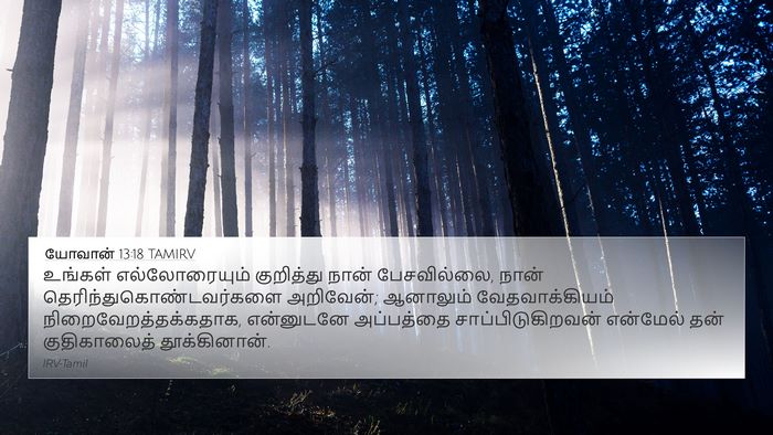 யோவான் 13:18 TAMIRV Bible Verse Image
