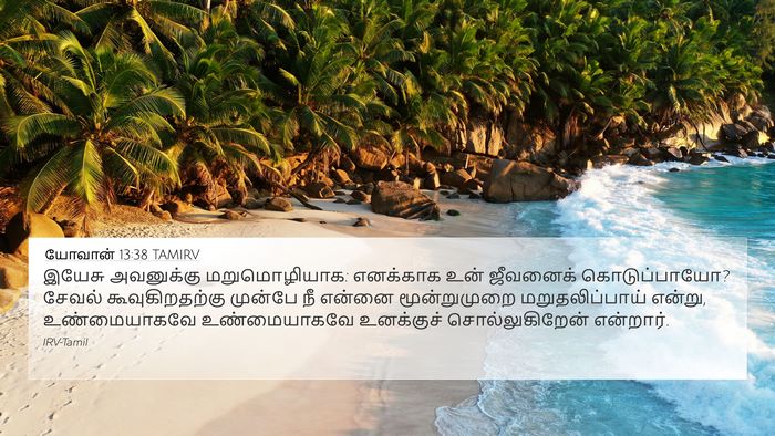 யோவான் 13:38 TAMIRV Bible Verse Image
