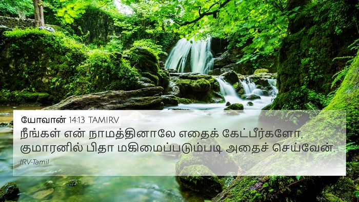 யோவான் 14:13 TAMIRV Bible Verse Image