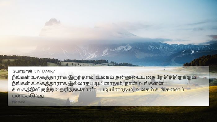 யோவான் 15:19 TAMIRV Bible Verse Image