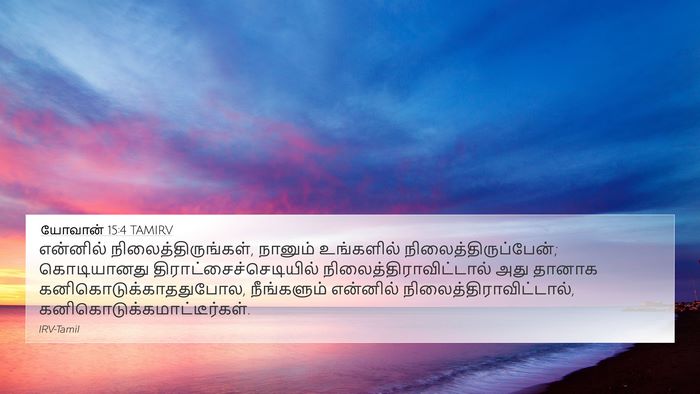 யோவான் 15:4 TAMIRV Bible Verse Image