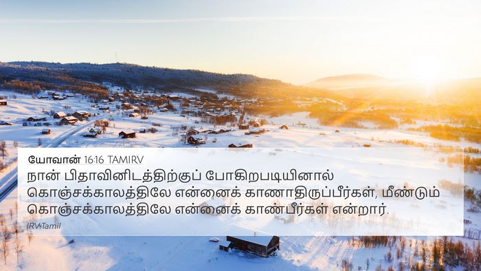 யோவான் 16:16 TAMIRV Bible Verse Image