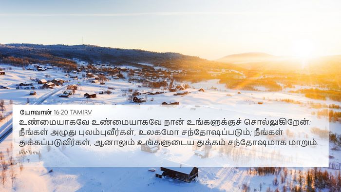 யோவான் 16:20 TAMIRV Bible Verse Image