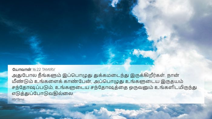 யோவான் 16:22 TAMIRV Bible Verse Image