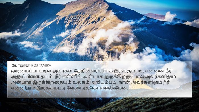 யோவான் 17:23 TAMIRV Bible Verse Image