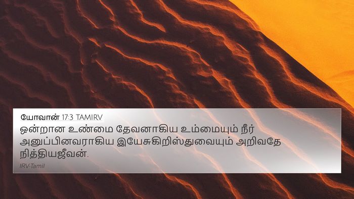 யோவான் 17:3 TAMIRV Bible Verse Image