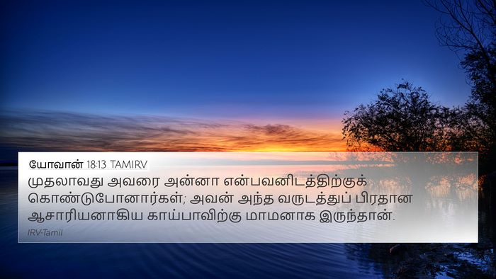 யோவான் 18:13 TAMIRV Bible Verse Image