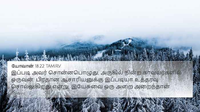 யோவான் 18:22 TAMIRV Bible Verse Image