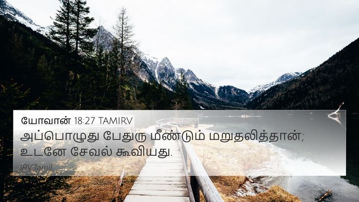 யோவான் 18:27 TAMIRV Bible Verse Image