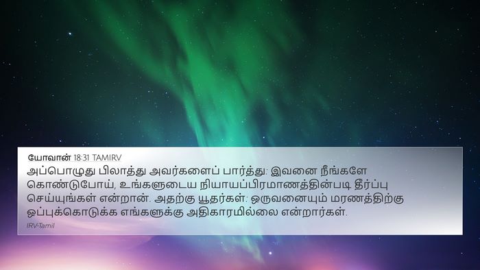 யோவான் 18:31 TAMIRV Bible Verse Image