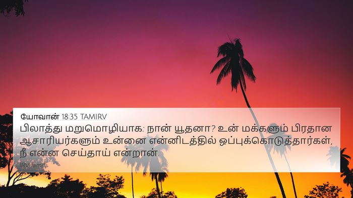 யோவான் 18:35 TAMIRV Bible Verse Image
