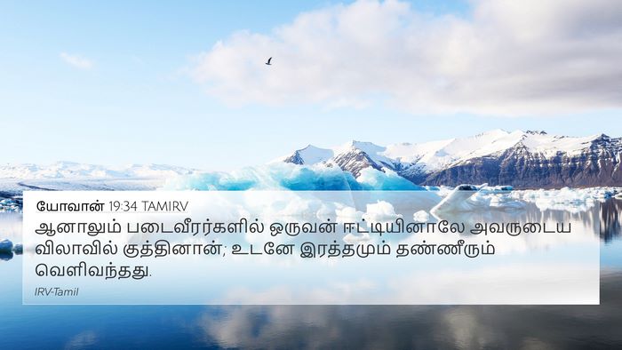 யோவான் 19:34 TAMIRV Bible Verse Image