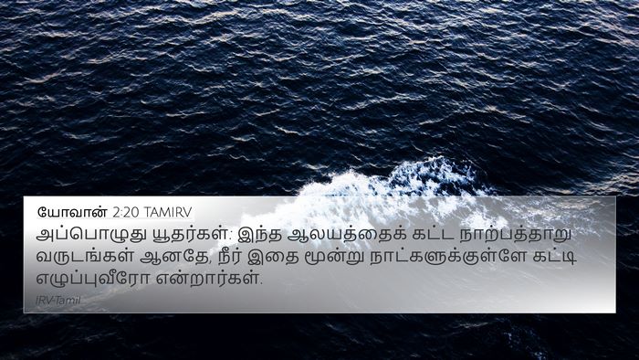 யோவான் 2:20 TAMIRV Bible Verse Image
