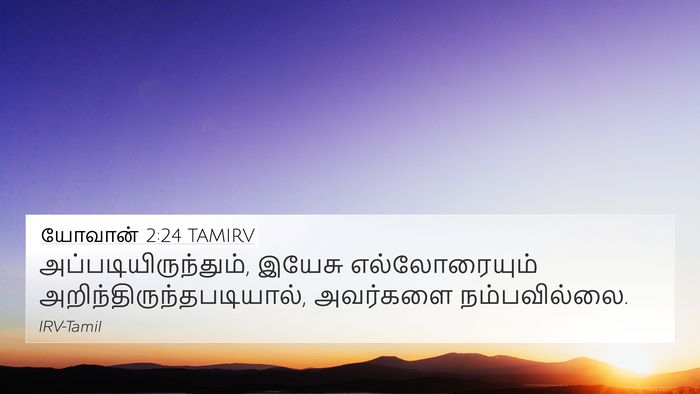 யோவான் 2:24 TAMIRV Bible Verse Image