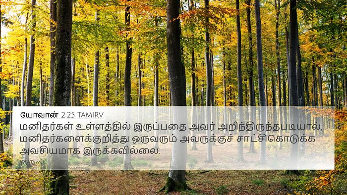 யோவான் 2:25 TAMIRV Bible Verse Image