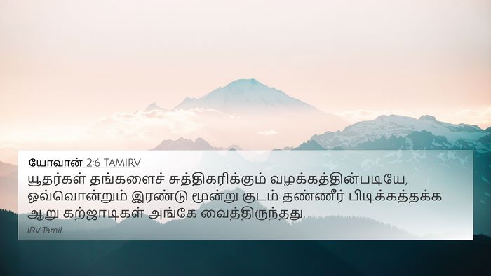 யோவான் 2:6 TAMIRV Bible Verse Image
