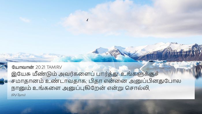 யோவான் 20:21 TAMIRV Bible Verse Image