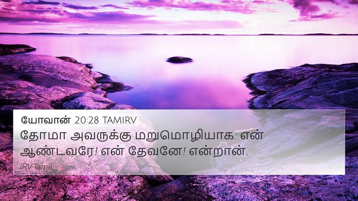 யோவான் 20:28 TAMIRV Bible Verse Image