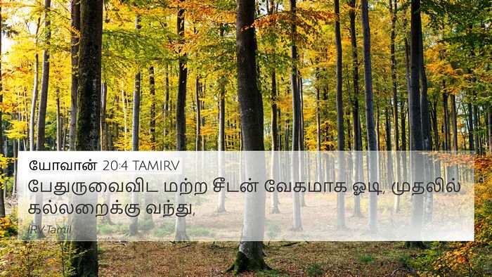 யோவான் 20:4 TAMIRV Bible Verse Image