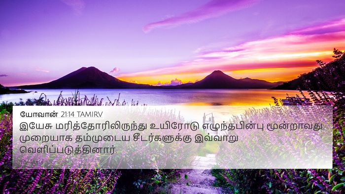 யோவான் 21:14 TAMIRV Bible Verse Image