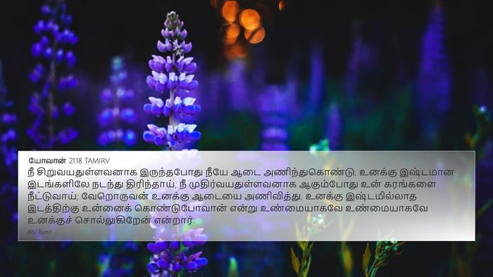 யோவான் 21:18 TAMIRV Bible Verse Image