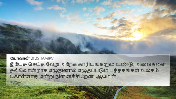 யோவான் 21:25 TAMIRV Bible Verse Image