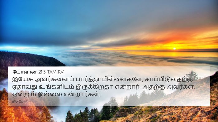 யோவான் 21:5 TAMIRV Bible Verse Image