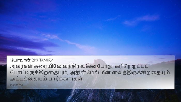 யோவான் 21:9 TAMIRV Bible Verse Image