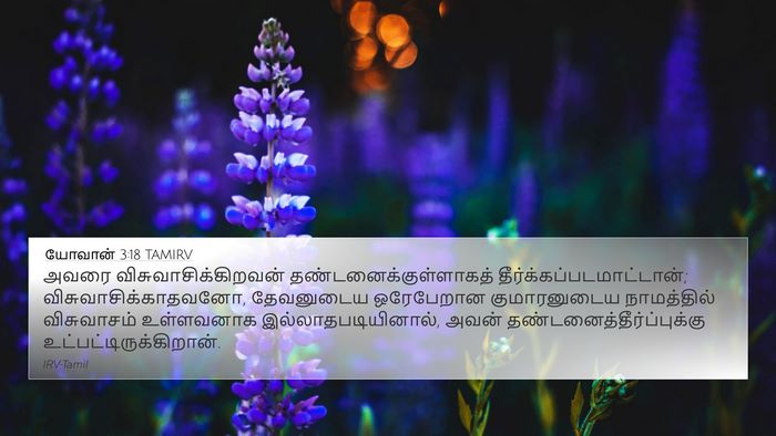 யோவான் 3:18 TAMIRV Bible Verse Image