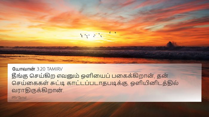 யோவான் 3:20 TAMIRV Bible Verse Image