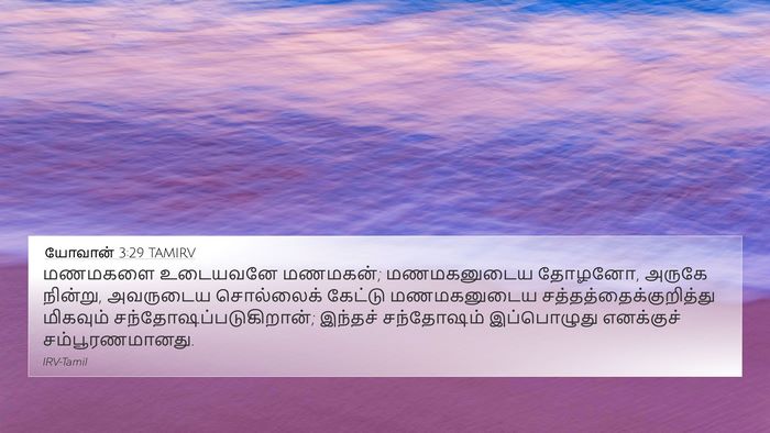 யோவான் 3:29 TAMIRV Bible Verse Image