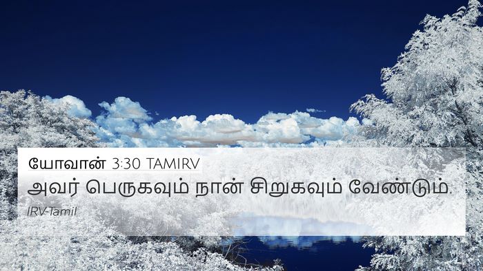 யோவான் 3:30 TAMIRV Bible Verse Image