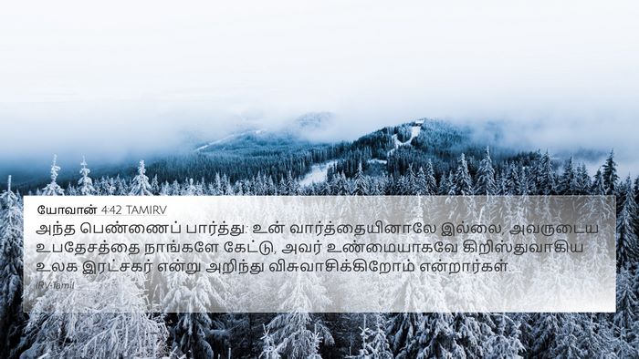 யோவான் 4:42 TAMIRV Bible Verse Image