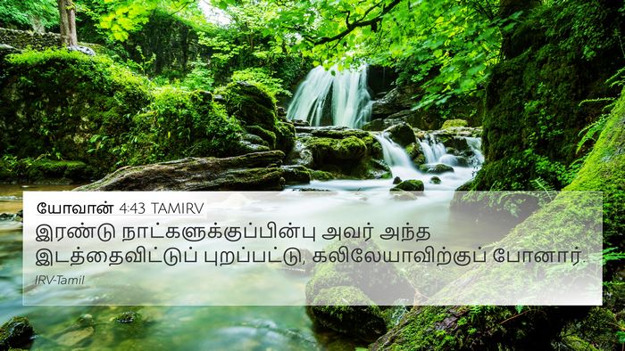 யோவான் 4:43 TAMIRV Bible Verse Image