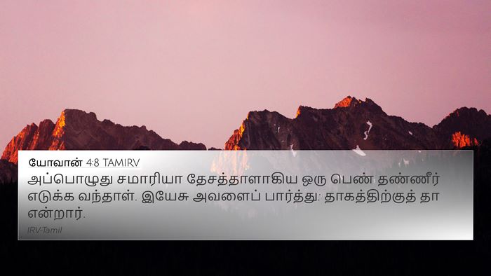 யோவான் 4:8 TAMIRV Bible Verse Image