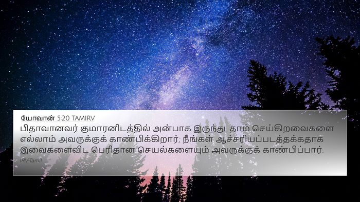 யோவான் 5:20 TAMIRV Bible Verse Image