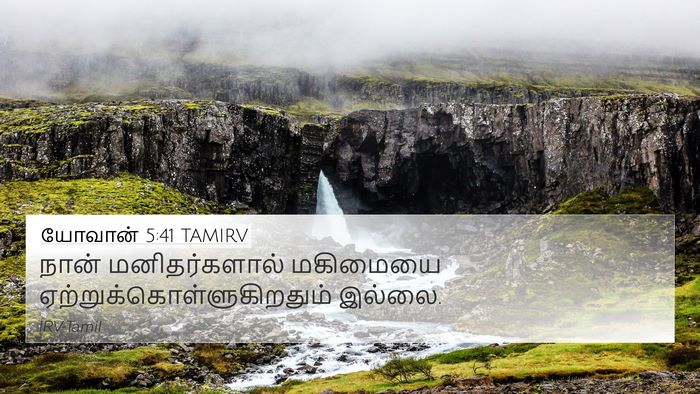 யோவான் 5:41 TAMIRV Bible Verse Image