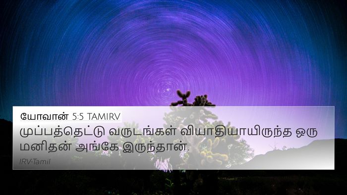 யோவான் 5:5 TAMIRV Bible Verse Image