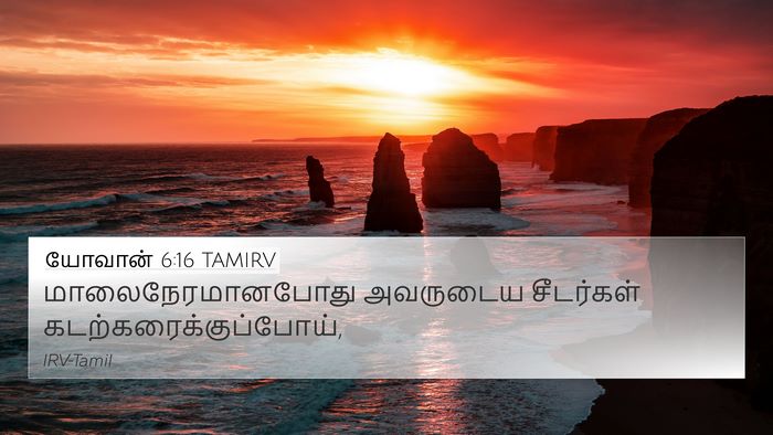 யோவான் 6:16 TAMIRV Bible Verse Image
