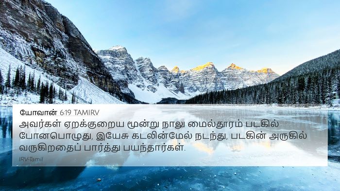 யோவான் 6:19 TAMIRV Bible Verse Image