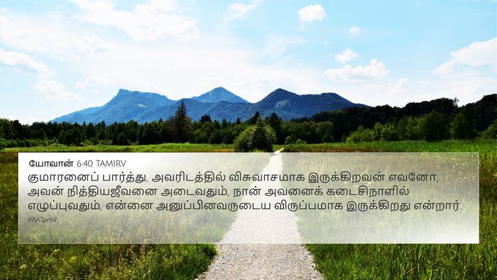 யோவான் 6:40 TAMIRV Bible Verse Image