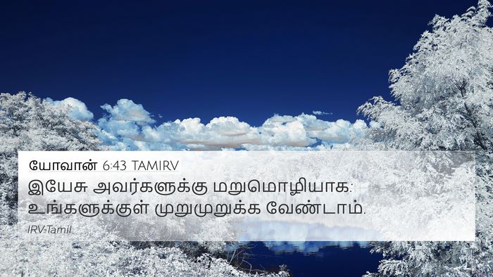 யோவான் 6:43 TAMIRV Bible Verse Image